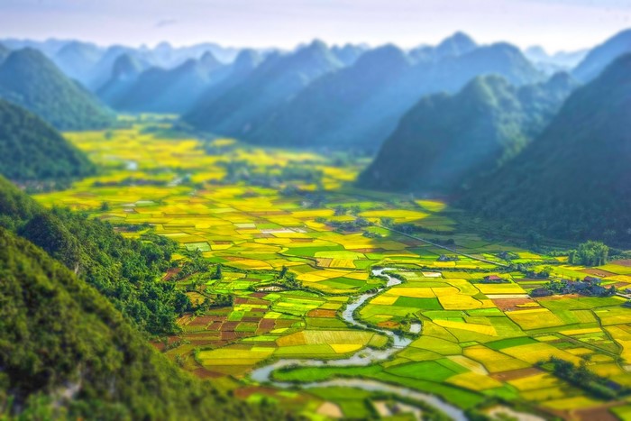 Rice fields and river in a valley with mountains