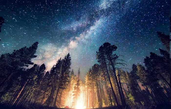 Forest camping under the Milky Way