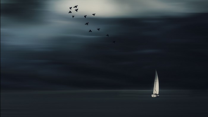 Sailboat and birds over the sea at dusk