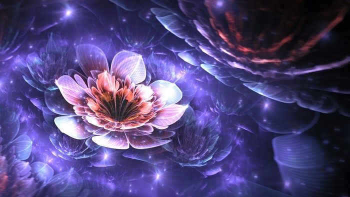 Radiant Purple and Pink Fractal Flowers
