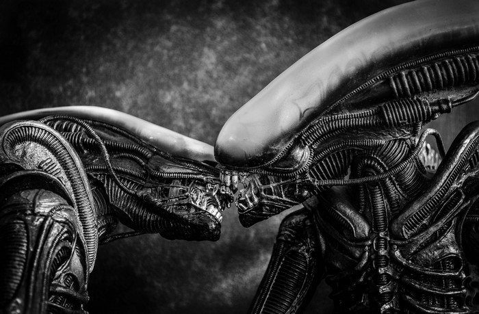 Two Xenomorphs from Alien facing each other