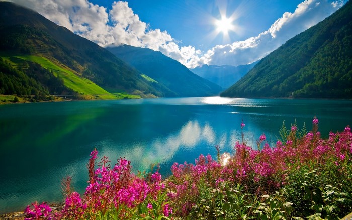 Sunlit Mountain Lake with Pink Flowers in Austria