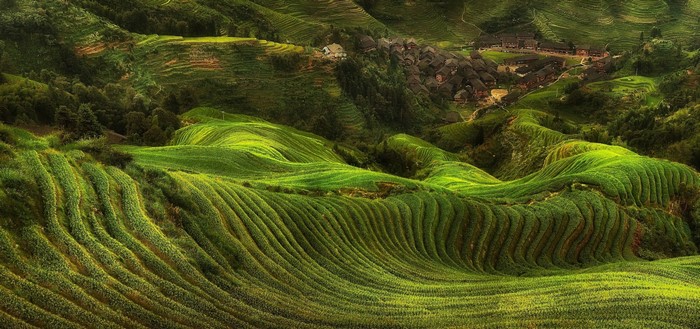 Green rice terraces and village in a valley
