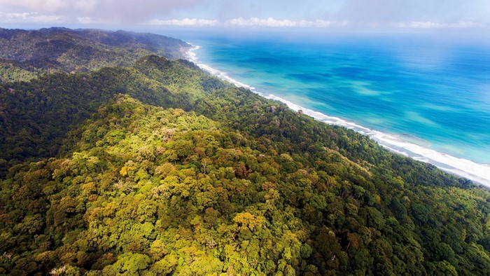Aerial view of a lush green forest meeting the ocean in Costa Rica