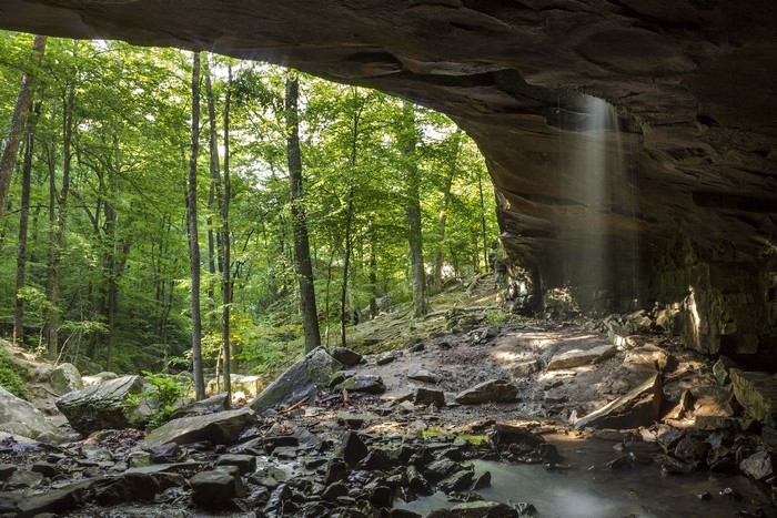 Waterfall cascading from cave overhang into forest stream
