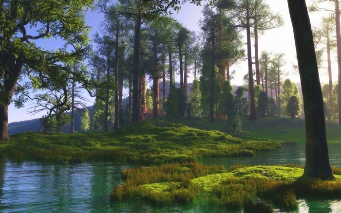 Sunlit Forest by a Calm River