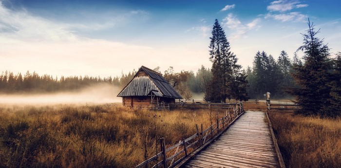 Wooden cabin in misty field with forest and boardwalk