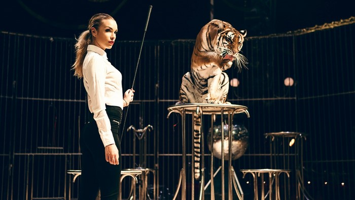 Woman with whip and tiger in circus cage
