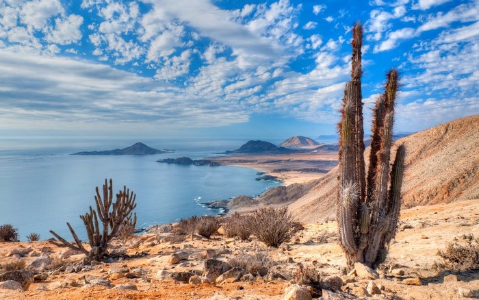 Desert coast with cacti and islands in the sea