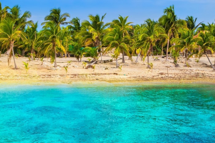 Tropical beach with palm trees and turquoise water