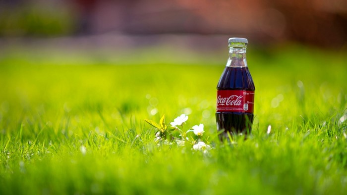 Coca-Cola bottle on grass with flowers