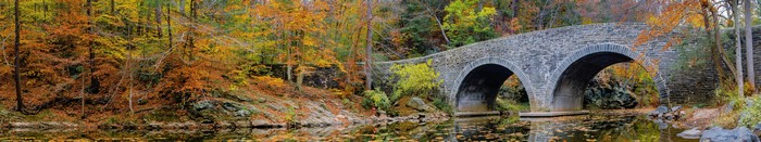 Stone bridge over a stream in autumn forest