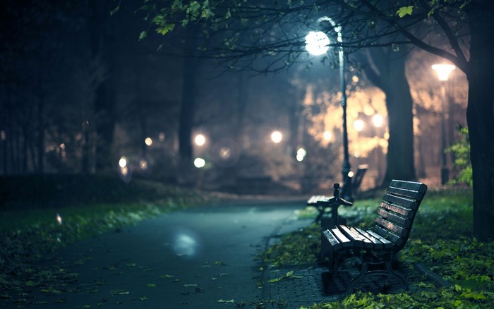 Park bench at night with street lights