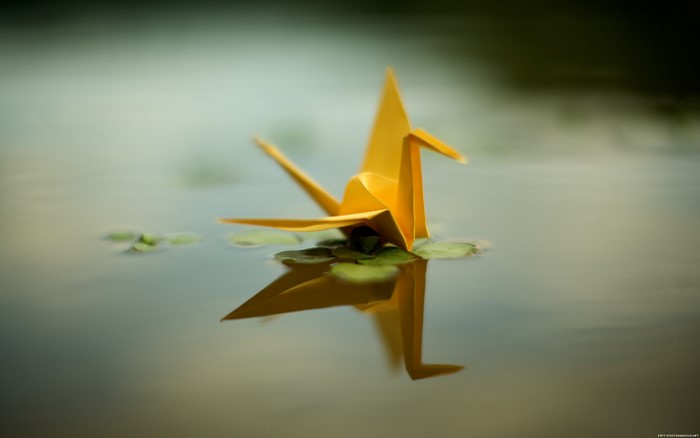 Yellow origami crane floating on water with lily pads