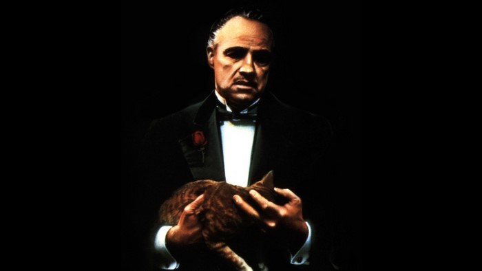 1920x1080 marlon brando the godfather cat JPG 101 kB, HD Wallpaper ...