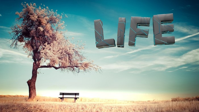 3D LIFE text over a tree and bench