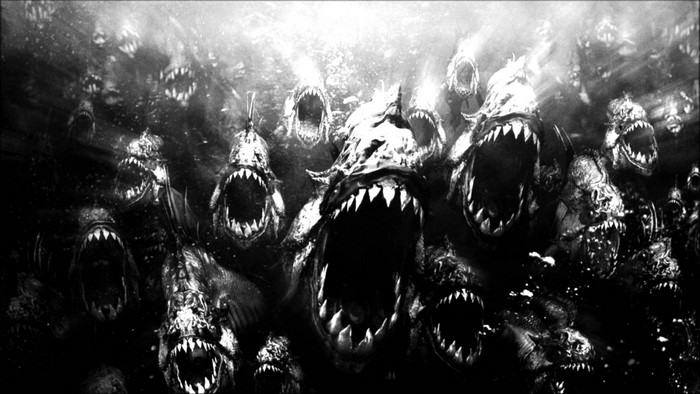 Monochrome horror of piranhas with sharp teeth