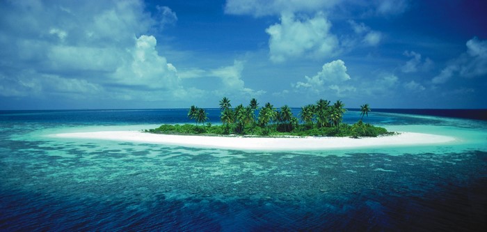 Tropical island with palm trees in the ocean