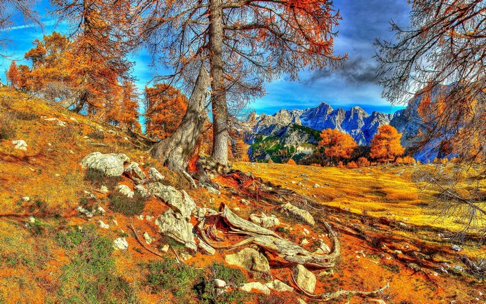 Autumn mountain landscape with trees and rocks