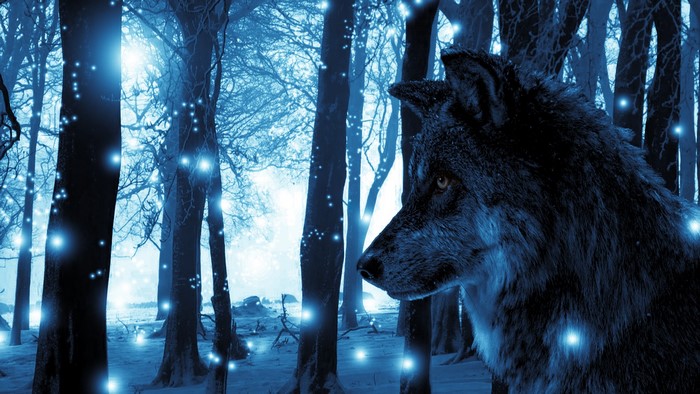 Wolf in a magical blue forest with glowing lights