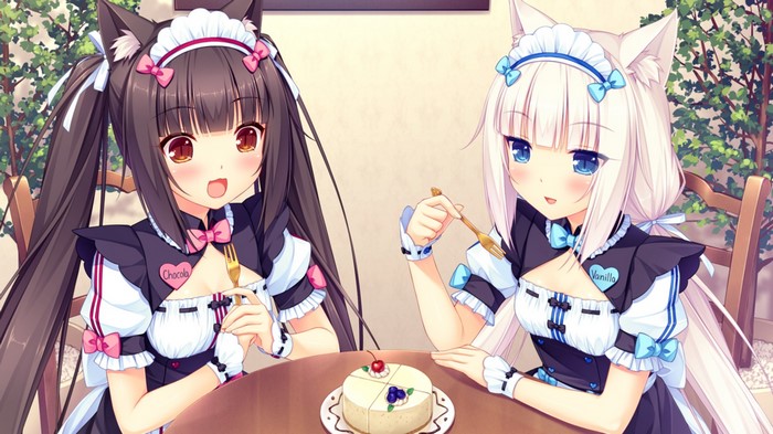 Neko Para Vanilla and Chocolate Maid Outfits