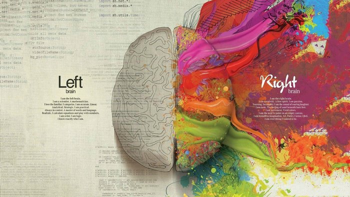 Left and Right Brain illustration with quotes