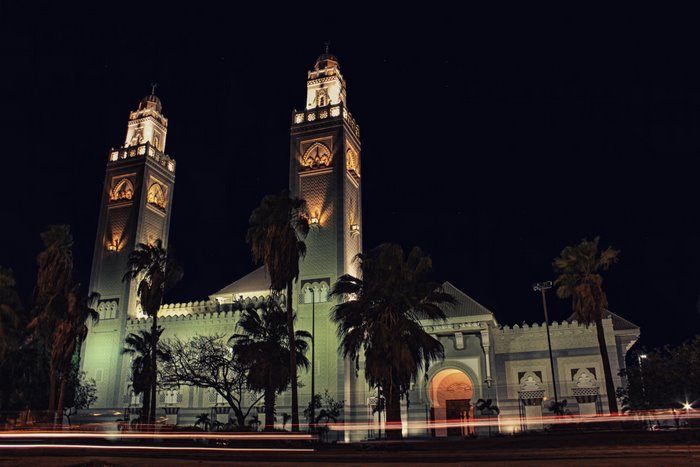 Mosque with two minarets and palm trees at night