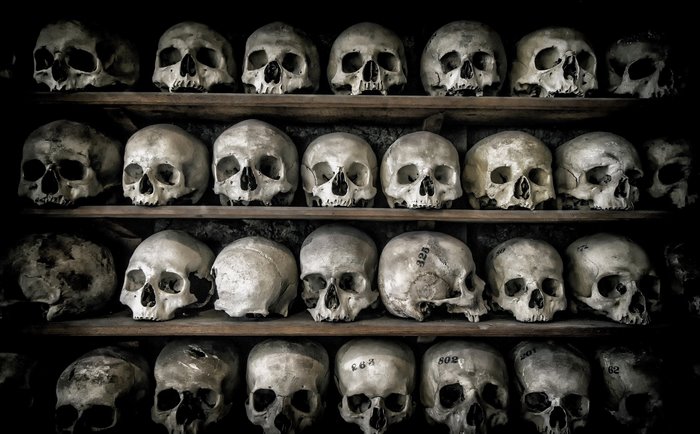 Rows of human skulls on shelves