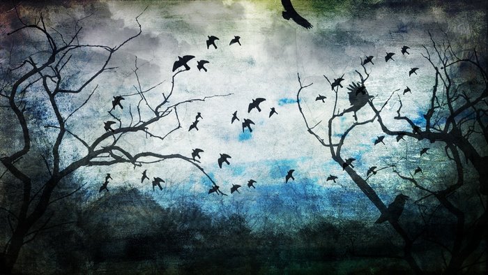 Flock of birds flying around bare trees under a textured sky