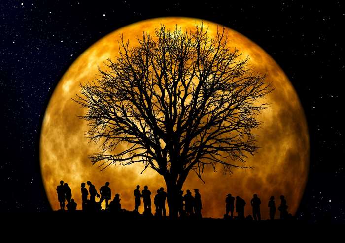 Silhouettes of people and a tree under a full moon