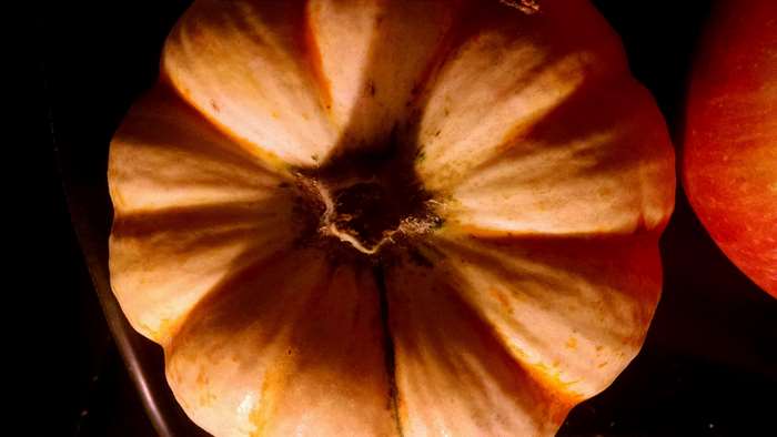 Close-up of a pumpkin