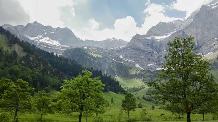 4K Alpen Mountains with Trees and Clouds