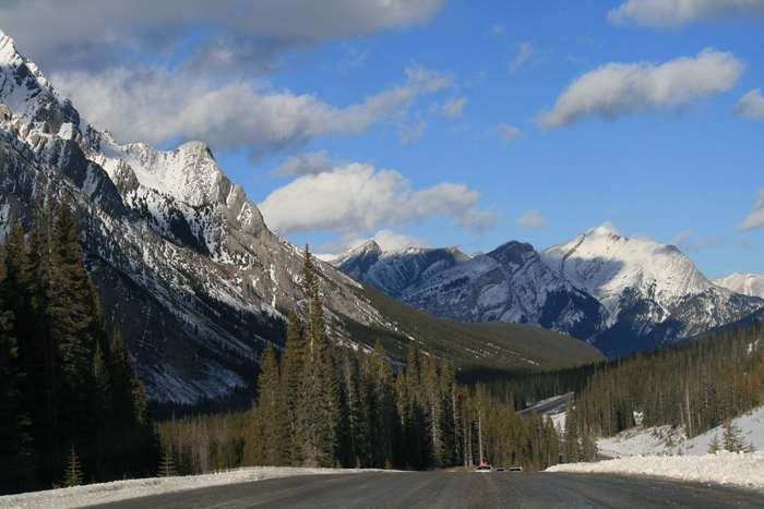 Snowy Mountains and Pine Trees along a Road