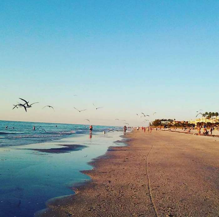 Beach with seagulls and people in Florida