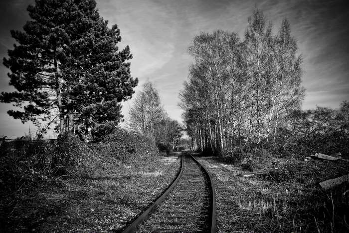 Abandoned railway tracks through overgrown landscape