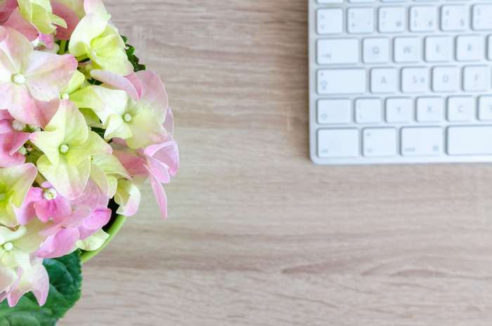 Hydrangea flowers and a computer keyboard on a wooden desk