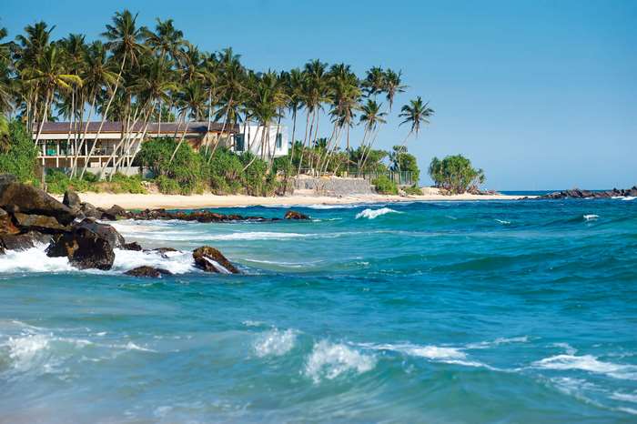 Beach with palm trees and ocean waves in Sri Lanka