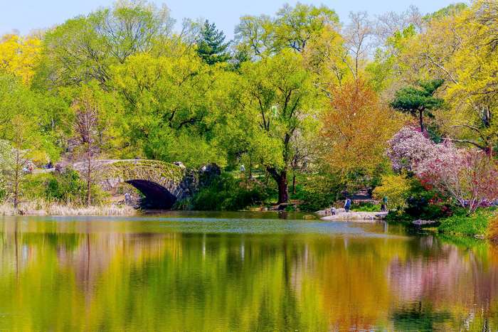 Stone bridge over a pond in Central Park, NYC