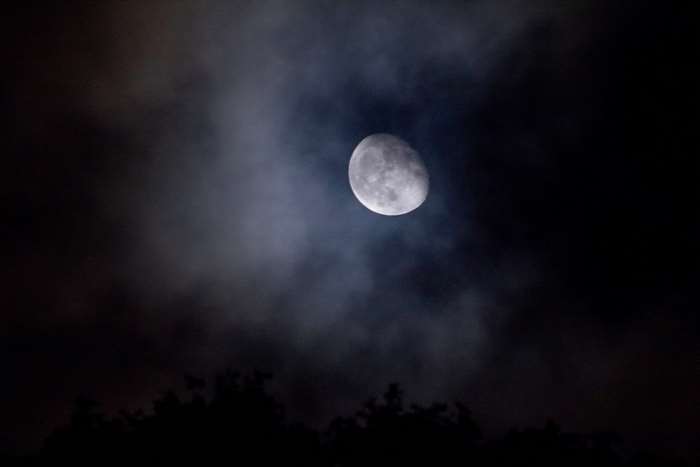 Moon partially obscured by clouds at night with trees