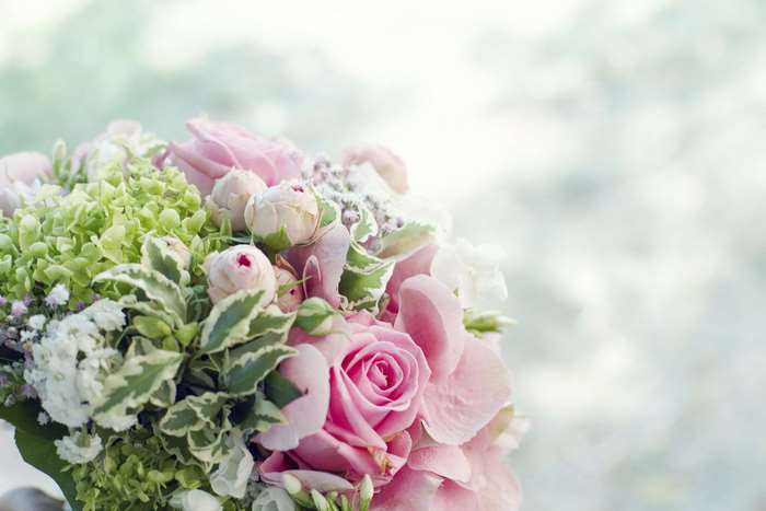 Pink roses and green hydrangeas in a bouquet