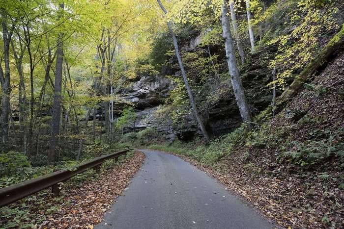 Scenic country road through autumn forest in West Virginia