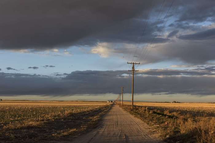 Country dirt road with telephone poles at sunset in Sedgwick County, Colorado