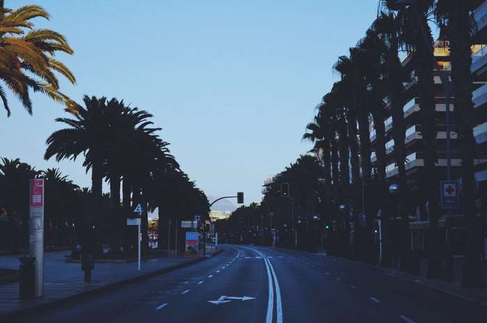 Road lined with palm trees in Salou, Spain