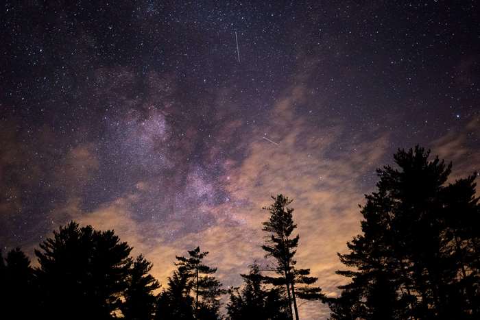 Milky Way and stars over silhouetted trees