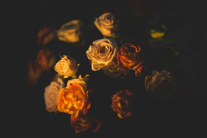 A bouquet of roses with warm lighting