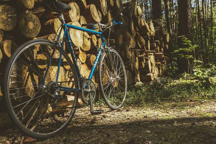 Blue vintage bicycle leaning against a stack of logs in a forest