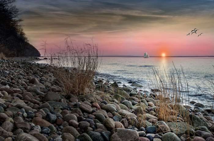 Rocky Shoreline at Sunset with Sailboat and Birds