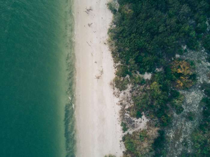 Aerial view of a sandy beach and lush green trees by the ocean