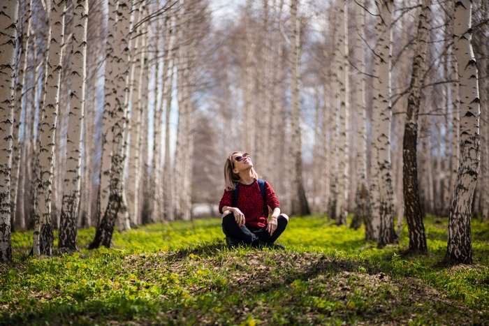 Woman sitting in a birch forest