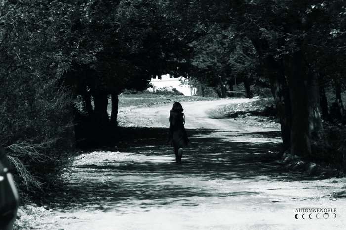 Girl walking on a path in a black and white forest 4K